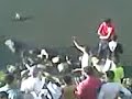 OSEZ VOUS!: Une baignade dans un fleuve remplis de MERDE!!
