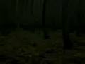 videos de DiE u dIE