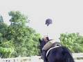 A horse jumping bareback no bridle (at the end)