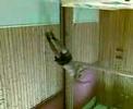 cucaracha parkour tricking