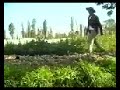XOCHIMILCO (MEXICO)