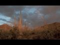 Southwest 2010 Day 2-Saguaro National Park - YouTube