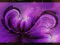 keygen music and fractals