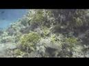 Red Sea Hurghada Red Sea Hurghada