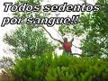 mutantes!!