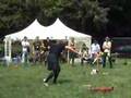 Tommy-de-Bruijn-WFD-