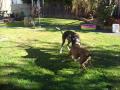 See video