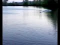Graupner Taifun Hydroplane