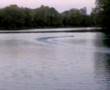 Graupner Taifun Hydroplane