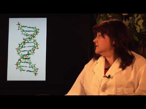 how to isolate dna from hair