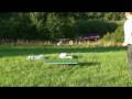 Blade 400 my first real flight