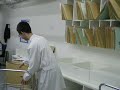 Down syndrome:&nbsp;S�ndrome de Down: empleado n.15