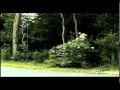 Месть... Просмотр видео