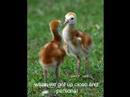 This video represents my guiding principles when i...