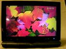 LOOX P70TN SCREENSAVER