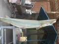 alligatorgar