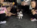 ??????? ???????
