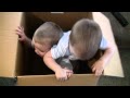 B-Twins-in-a-Box