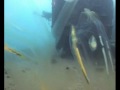 Thistlegorm Thistlegorm