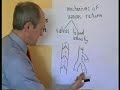 Peripheral venous disease