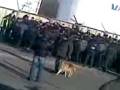 Акция протеста автомобилистов у аэропорта "Владивосток"-3