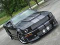 CERVINIS, A TRIBUTE TO CAROLL SHELBY