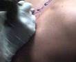 Adri tattos