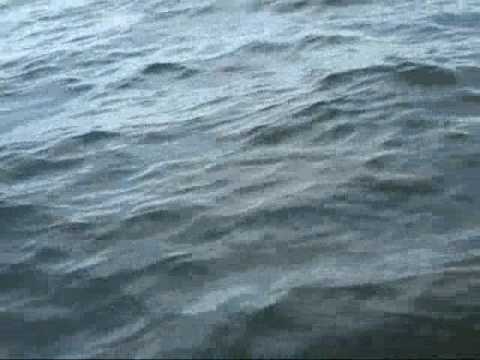 Kayak fishing, sailing, trolling