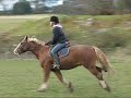 HorseRiding#Outtakes08#Amii HorseRiding#Outtakes08#Amii