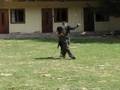 videos de Obrana