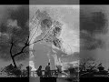 GENOCIDES