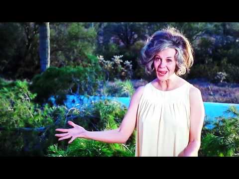 WHAT EVER HAPPENED TO AUNT ALICE Movie Review (1969) Schlockmeisters #1102
