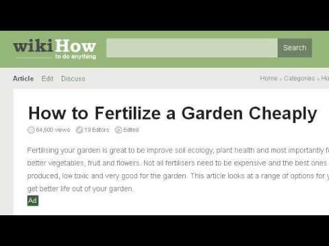 how to fertilize outdoor plants