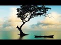 Peaceful music, Relaxing music, Instrumental music, Quiet Horizons by Tim Janis