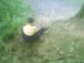 Mike Slides Down Hill
