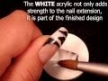 Inverted Moulds Zebra Acrylic Nails