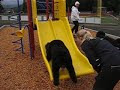 Sliding Drake 3 Sliding Drake 3