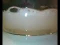 Magnesium and Calcium reacting with Hydrochloric Acid (1)