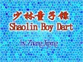 Shaolin-Rope-Dart-Sh
