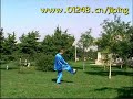 Shaolin-Rope-Dart-Sh