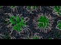 Xem Video