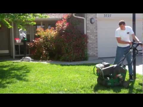 how to properly aerate your lawn