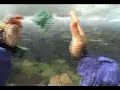 Tandem Skydive - Parachute Malfunction