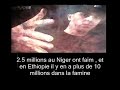 Lotfi double Kanon : batards