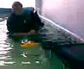 Four Paws Aqua Dog Hydrotherapy Pool - jerrylee Four Paws Aqua Dog Hydrotherapy Pool - jerrylee