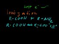 Part 2 - Ions & Free Radicals
