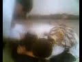 I_quality R.M.H.S bUGbugan