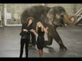 Britney Spears - I f You Seek Amy with lyric (new song) 2008
