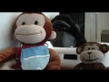 Monkey News - How to get a muslim thrown off a plane Monkey News - How to get a muslim thrown off a plane