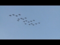 20 F/A-18 Hornet Formation Flypast